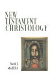 New Testament Christology The Christology in the Story