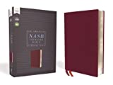 NASB Thinline Bible Red Letter Edition [Burgundy]  9780310450948 Front Cover