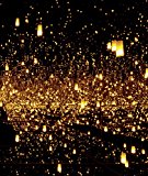 Yayoi Kusama Infinity Mirrors  9783791355948 Front Cover