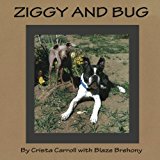 Ziggy and Bug 2013 9781484860953 Front Cover