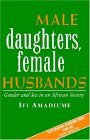 Male Daughters, Female Husbands Gender and Sex in an African Society cover art