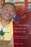 Confusion Arises As Wisdom Gampopa's Heart Advice on the Path of Mahamudra 2012 9781590309957 Front Cover