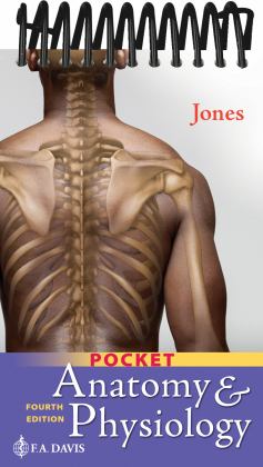 Pocket Anatomy and Physiology 4th 9781719642958 Front Cover