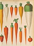 Kew's Global Kitchen Cookbook 101 Recipes Using Edible Plants from Around the World  9781842464960 Front Cover
