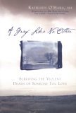 Grief Like No Other Surviving the Violent Death of Someone You Love cover art