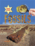 Fossils 2008 9781846966972 Front Cover