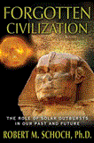 Forgotten Civilization The Role of Solar Outbursts in Our Past and Future 2012 9781594774973 Front Cover
