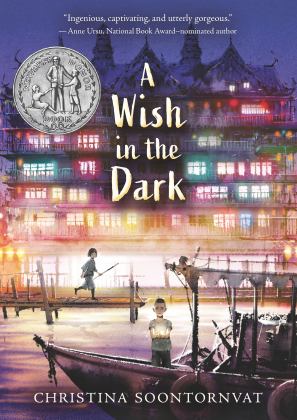 Wish in the Dark  9781536222975 Front Cover