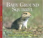 Baby Ground Squirrel 2004 9781550417975 Front Cover