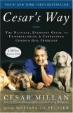 Cesar's Way The Natural, Everyday Guide to Understanding and Correcting Common Dog Problems 2007 9780307337979 Front Cover