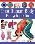First Human Body Encyclopedia  cover art