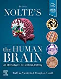 Nolte's the Human Brain An Introduction to Its Functional Anatomy 8th 9780323653985 Front Cover