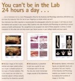 Photographic Atlas for the Anatomy and Physiology Laboratory 6th 9780895826985 Front Cover