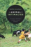 Animal Intimacies Interspecies Relatedness in India's Central Himalayas  9780226559988 Front Cover