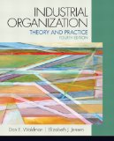 Industrial Organization Theory and Practice cover art