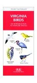 Virginia Birds A Folding Pocket Guide to Familiar Species  9781583550991 Front Cover