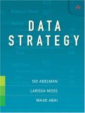 Data Strategy  cover art