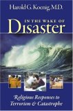 In the Wake of Disaster Religious Responses to Terrorism and Catastrophe cover art