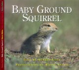 Baby Ground Squirrel 2004 9781550417999 Front Cover